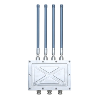 MX834-1D 工業防爆4G路由器/Ex d ⅡB T6 Gb/Ex tD A21 IP68 T80℃